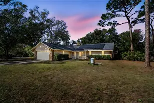 17641 Deerfield Dr, Lutz, FL 33558 - Photo 1