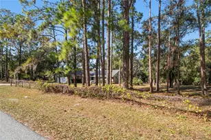 17641 Deerfield Dr, Lutz, FL 33558 - Photo 27