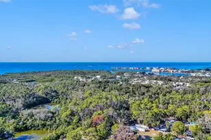 7308 Royal Palm Dr, New Port Richey, FL 34652 - Photo 35