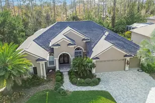 27736 Pine Point Dr, Wesley Chapel, FL 33544 - Photo 5