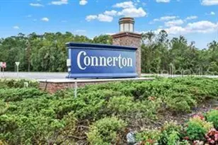 9783 Wild Begonia Loop, Land O Lakes, FL 34637 - Photo 27