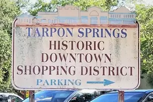 1106 Goshen Rd, Tarpon Springs, FL 34689 - Photo 31