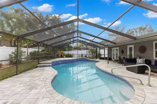 2420 Osprey Ave, Palm Harbor, FL 34683 - Photo 27