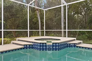 17716 Nathans Dr, Tampa, FL 33647 - Photo 39