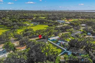 1008 Michigan Blvd, Dunedin, FL 34698 - Photo 35