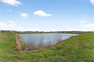 10718 Ironwood Tree Wy, San Antonio, FL 33576 - Photo 15