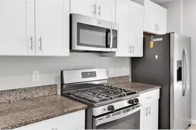 5204 White Chicory Drive, Apollo Beach, FL 33572 - Photo 11