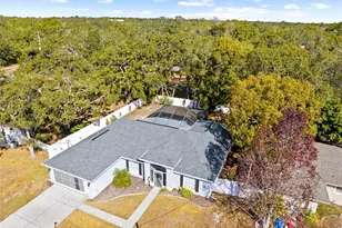 8155 Giffen Ln, Spring Hill, FL 34608 - Photo 51