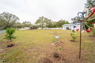 4405 Loma Vista Dr, Valrico, FL 33596 - Photo 53