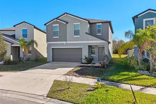 5157 White Chicory Dr, Apollo Beach, FL 33572 - Photo 69