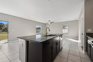 5157 White Chicory Dr, Apollo Beach, FL 33572 - Photo 21