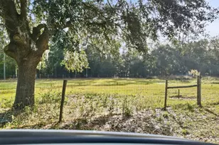 7275 Knowles Rd, Polk City, FL 33868 - Photo 29