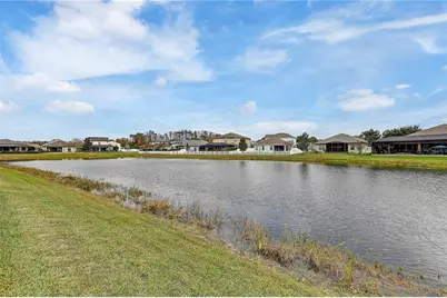 8206 Water Color Drive, Land O Lakes, FL 34638 - Photo 53