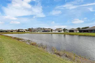 8206 Water Color Dr, Land O Lakes, FL 34638 - Photo 53