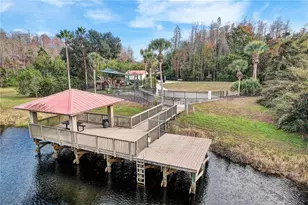 8206 Water Color Dr, Land O Lakes, FL 34638 - Photo 59