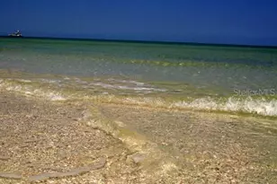 1151 Tinley Ct, Palm Harbor, FL 34683 - Photo 73