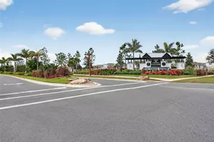 3842 Sunny Spring Street, Plant City, FL 33565 - Photo 33
