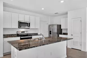 3842 Sunny Spring Street, Plant City, FL 33565 - Photo 5