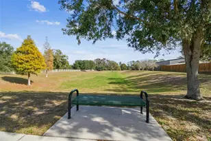 12030 Colonial Estates Ln, Riverview, FL 33579 - Photo 63