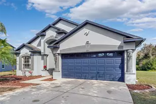 2853 Trinity Cottage Dr, Land O Lakes, FL 34638 - Photo 3