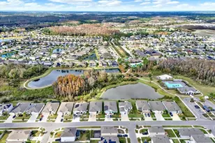 32620 Abby Lax Ln, Wesley Chapel, FL 33543 - Photo 43