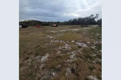 35238 Manuel Street, Webster, FL 33597 - Photo 5