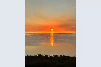 2115 Alexis Court, Tarpon Springs, FL 34689 - Photo 87