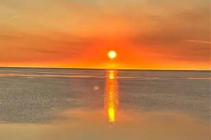 2115 Alexis Ct, Tarpon Springs, FL 34689 - Photo 87