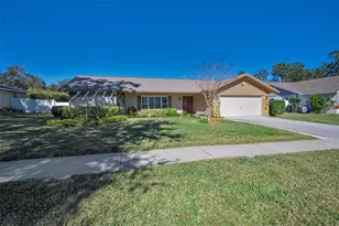 2949 Glenpark Rd, Palm Harbor, FL 34683 - Photo 3