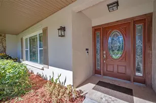 2949 Glenpark Rd, Palm Harbor, FL 34683 - Photo 9