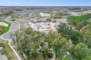 21462 Wistful Yearn Dr, Land O Lakes, FL 34637 - Photo 93