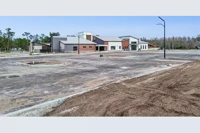 21462 Wistful Yearn Drive, Land O Lakes, FL 34637 - Photo 87