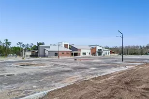 21462 Wistful Yearn Dr, Land O Lakes, FL 34637 - Photo 87