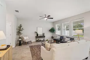 21462 Wistful Yearn Dr, Land O Lakes, FL 34637 - Photo 11