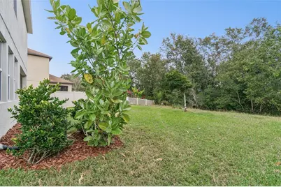 21462 Wistful Yearn Drive, Land O Lakes, FL 34637 - Photo 63
