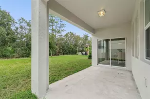 21462 Wistful Yearn Dr, Land O Lakes, FL 34637 - Photo 61