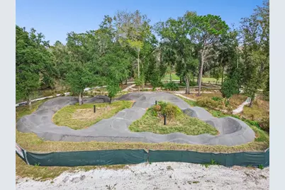 21462 Wistful Yearn Drive, Land O Lakes, FL 34637 - Photo 91