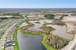 21462 Wistful Yearn Dr, Land O Lakes, FL 34637 - Photo 79