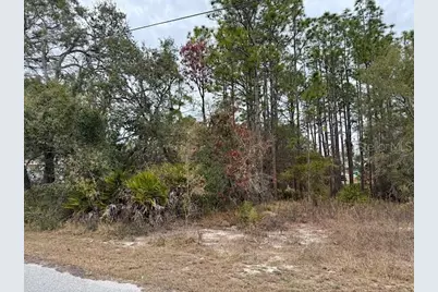 10439 Gypsy Avenue, Weeki Wachee, FL 34613 - Photo 5