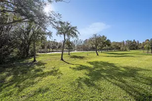 19772 Preservation Woods Dr, Lutz, FL 33548 - Photo 31