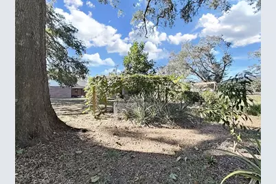 2921 Chelsea Woods Drive, Valrico, FL 33596 - Photo 49