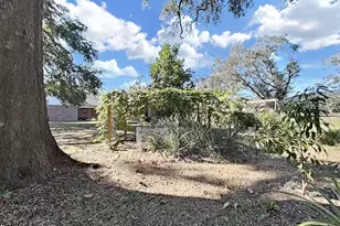 2921 Chelsea Woods Dr, Valrico, FL 33596 - Photo 49