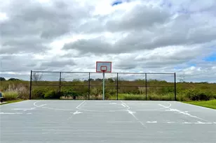 3514 White Dandelion Ct, Plant City, FL 33565 - Photo 25