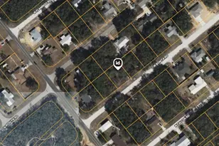 2196 W Bonita Rd, Avon Park, FL 33825 - Photo 1