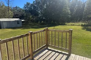 31326 Tyndall Rd, Wesley Chapel, FL 33545 - Photo 19