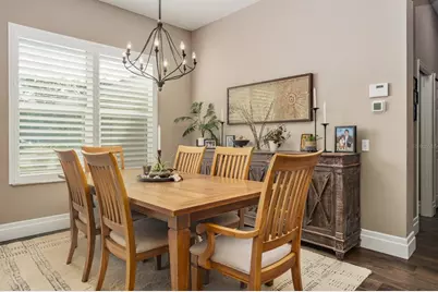 438 Equine Drive, Tarpon Springs, FL 34688 - Photo 13