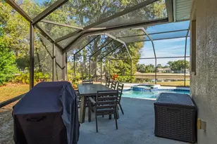 438 Equine Dr, Tarpon Springs, FL 34688 - Photo 59