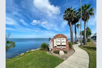 242 Sky Loch Drive E, Dunedin, FL 34698 - Photo 33