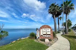 242 Sky Loch Dr E, Dunedin, FL 34698 - Photo 33