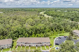 5886 Fishhawk Ridge Dr, Lithia, FL 33547 - Photo 37